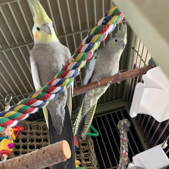 Meet your Posher, Madison - Picture 3 of 3